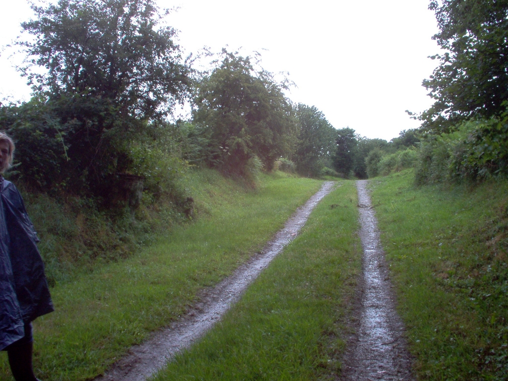 20110000 LA PAVÉE Pont-Farcy 05.jpg - IM000265.JPG